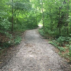 Meet your Posher, Debra